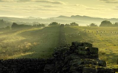 Hadrian's Wall at Birdoswald in Cumbria, England.