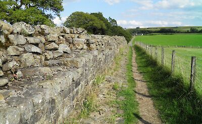 Hiking along Hadrian's Wall in England. Flickr:Carole Raddato