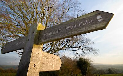Signpost at Birdoswald along Hadrian's Wall in Cumbria, England.