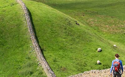Hiking Hadrian's Wall in England.