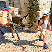 Portugal Way Camino de Santiago Photo