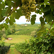 Dolomites to Venice Photo