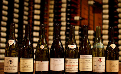 Wine tasting on this Burgundy and Dijon Walking Tour. Flickr:Hanzell Vineyards