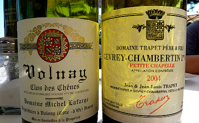 Gevrey-Chambertin wines on this walking tour in Burgundy, France. Flickr:dpotera