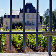 Burgundy Wine Trail Photo