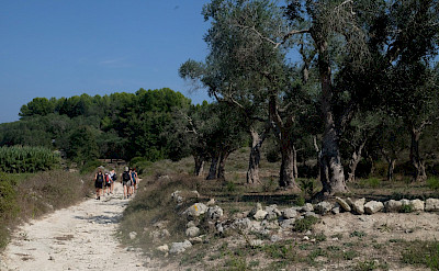 Hiking Puglia, the Heel of Italy Walking Tour. Photo via TO