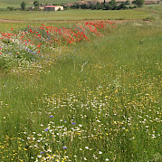 Segovia’s Hidden Gems Photo