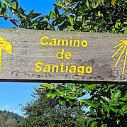 Spanish Way Camino de Santiago Photo