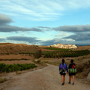Spanish Way Camino de Santiago Photo