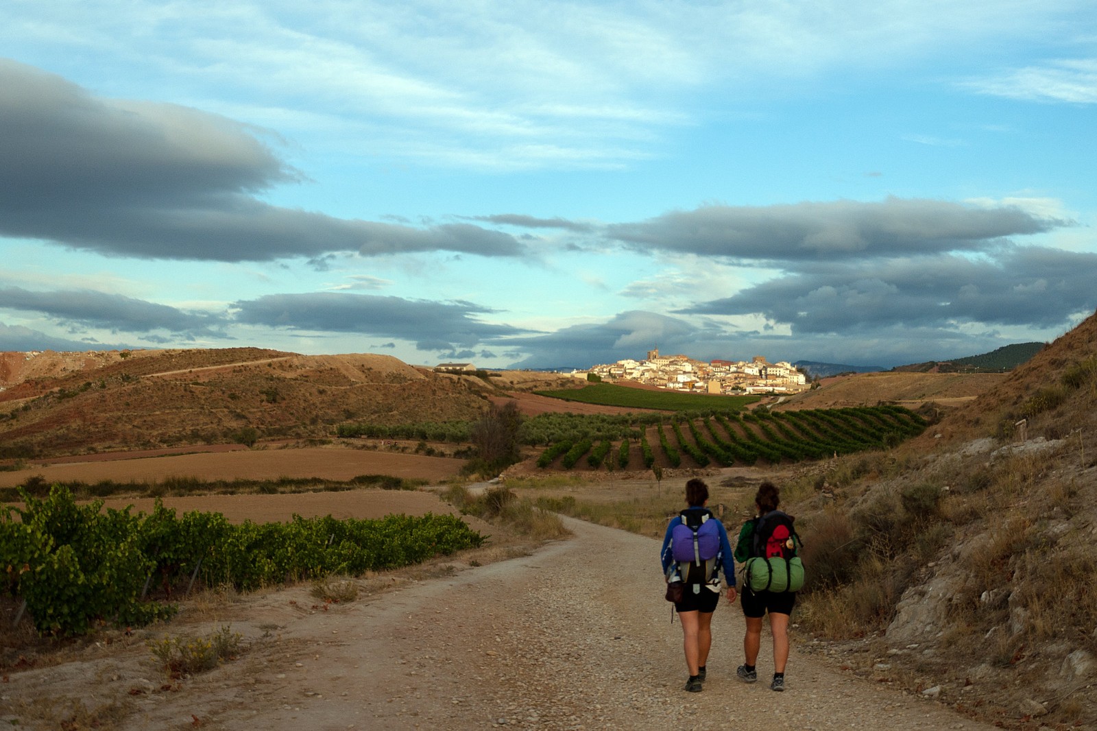 Spanish Way Camino De Santiago Hike Spain Tripsite