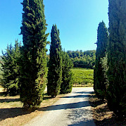 Best of Tuscany Bike Tour Photo