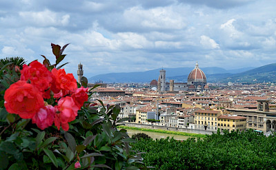 Florence in province Tuscany, Italy.
