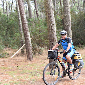 Not all pavements were as sweet as the floor of this pine forest, but our bikes handled well wherever we took them.