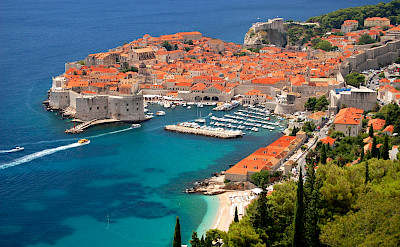 Exploring Dubrovnik on the Dalmatian Coast Walking Tour in Croatia.