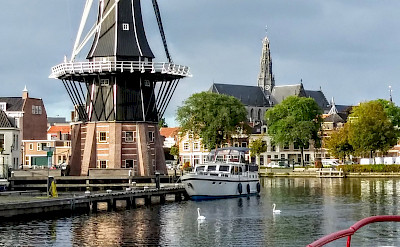 Windmills in Holland! ©TO