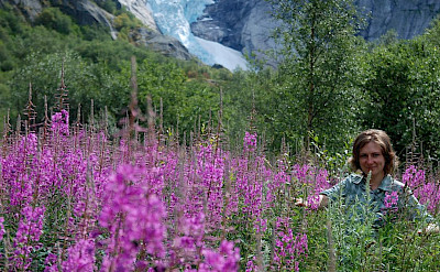 Glacier hiking in Jostedalsbreen, Norway. Flickr:Vasilecotovanu