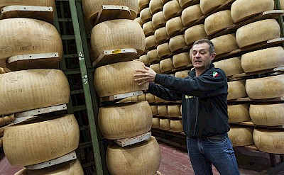 Rows of aging cheese. to-BTP