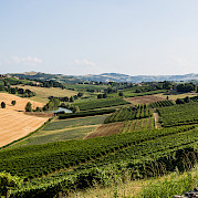 Flavors of Italy: The very best of Emilia-Romagna Photo