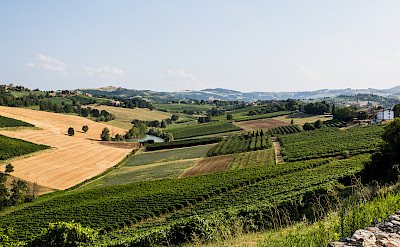 Castelvetro di Modena's countryside, Emilia-Romagna, Italy. Flickr:Bill Stilwell