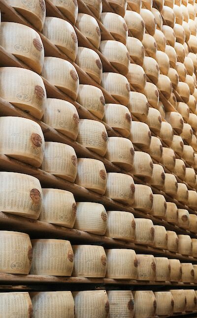 Cheeses in Modena, Italy. Unsplash@Robert Bye