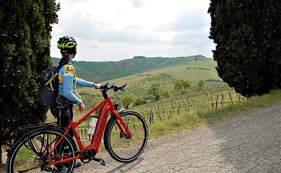 Cycling along vineyards overlooking rolling hills on Italy bike tour. to-BTP
