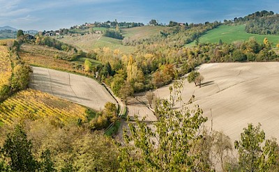 Classic Italian landscape with rolling hills and patchwork fields. to-BTP
