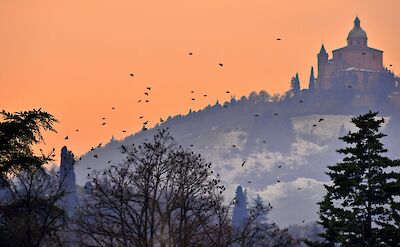 Sunset in Bologna, Italy. Unsplash@Stefano Zocca