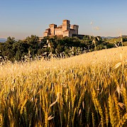 Flavors of Italy: The Very Best of Emilia-Romagna - Torrechiara Castle. unsplash@SamueleBertoli