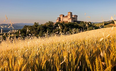 Torrechiara Castle. unsplash@SamueleBertoli
