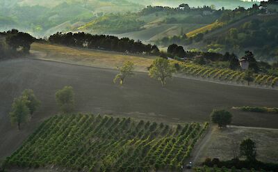 Vineyard-covered hills of Castelvetro di Modena, Emilia-Romagna, Italy. Unsplash@Stefano Zocca