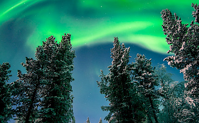 Northern Lights in Lapland, Finland. Flickr:Giuseppe Milo