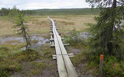 Duckboard through marsh in Pallas-Yllästunturi National Park, Western Lapland, Finland. Photo via TO
