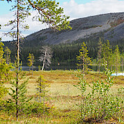 Finland’s North Country & Western Lapland Photo