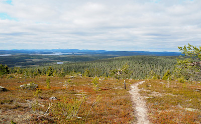 View from Akaskero Fell in Pallas-Yllästunturi National Park, Western Lapland, Finland. Photo via TO