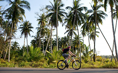 Cycling the Thailand Bike Tour.