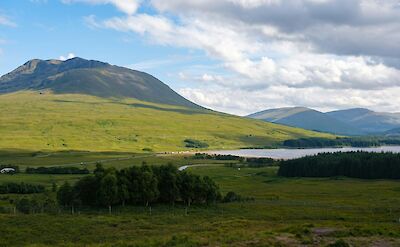 Bridge of Orchy, Scotland. Unsplash:Hanlin Sun