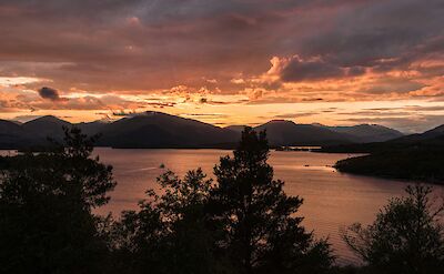 Sunset through the trees at Loch Lomond, Scotland. Unsplash:Ramon Vloon