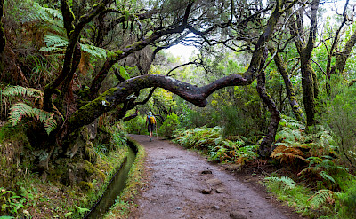 Hiking Madeira Island, Portugal. ©TO