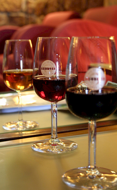Port wines to taste in Portugal! Flickr:liljc716