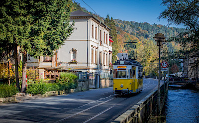 Tram in Bad Schandau in Germany. Flickr:Max Stolbinsky