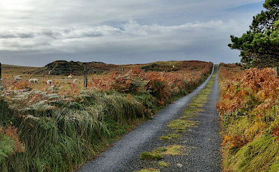 Hiking Connemara, Ireland. Photo via TO