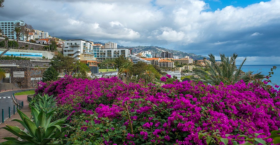 Funchal, Madeira, Portugal. CC:Bengt Nyman