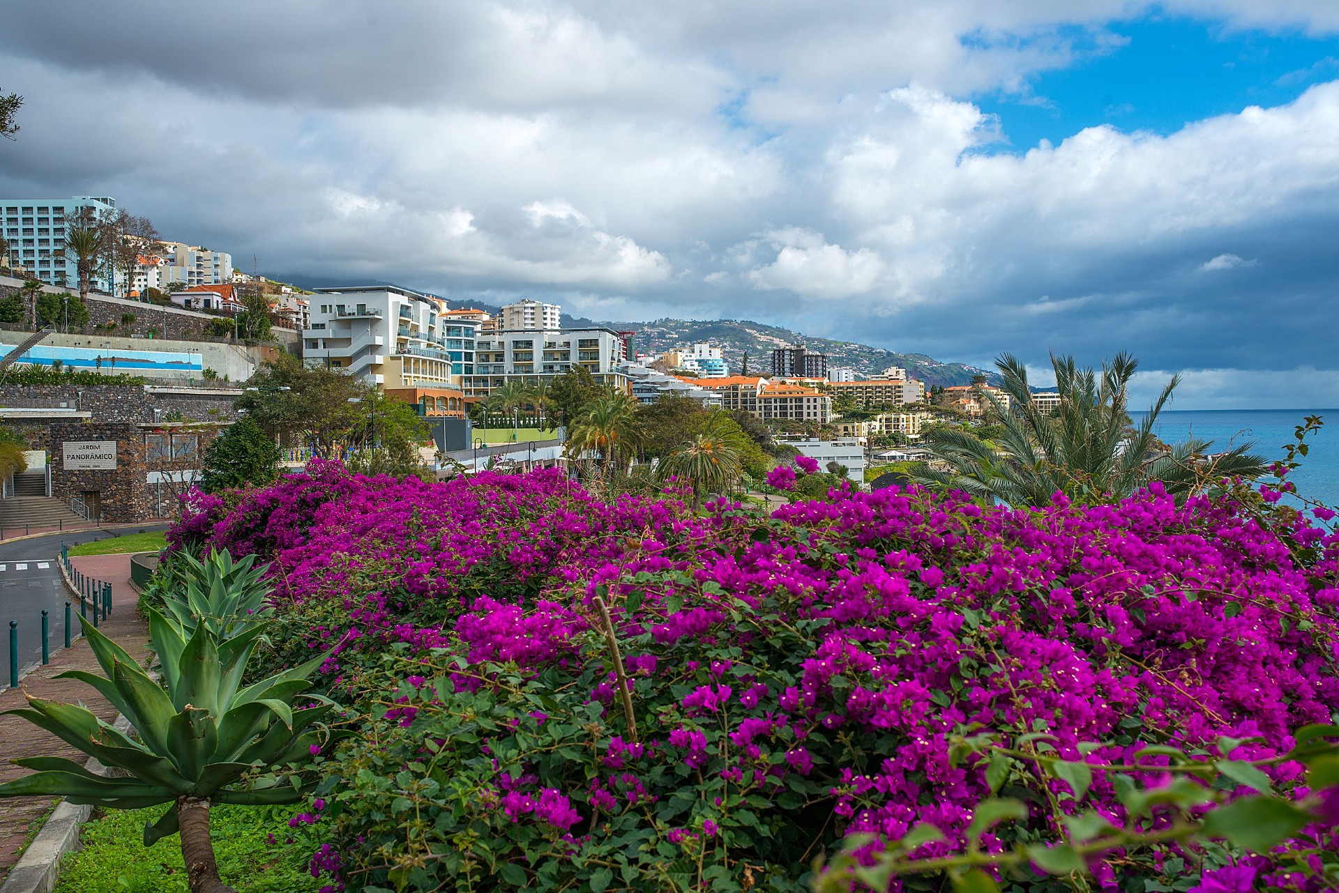 madeira paradise tours