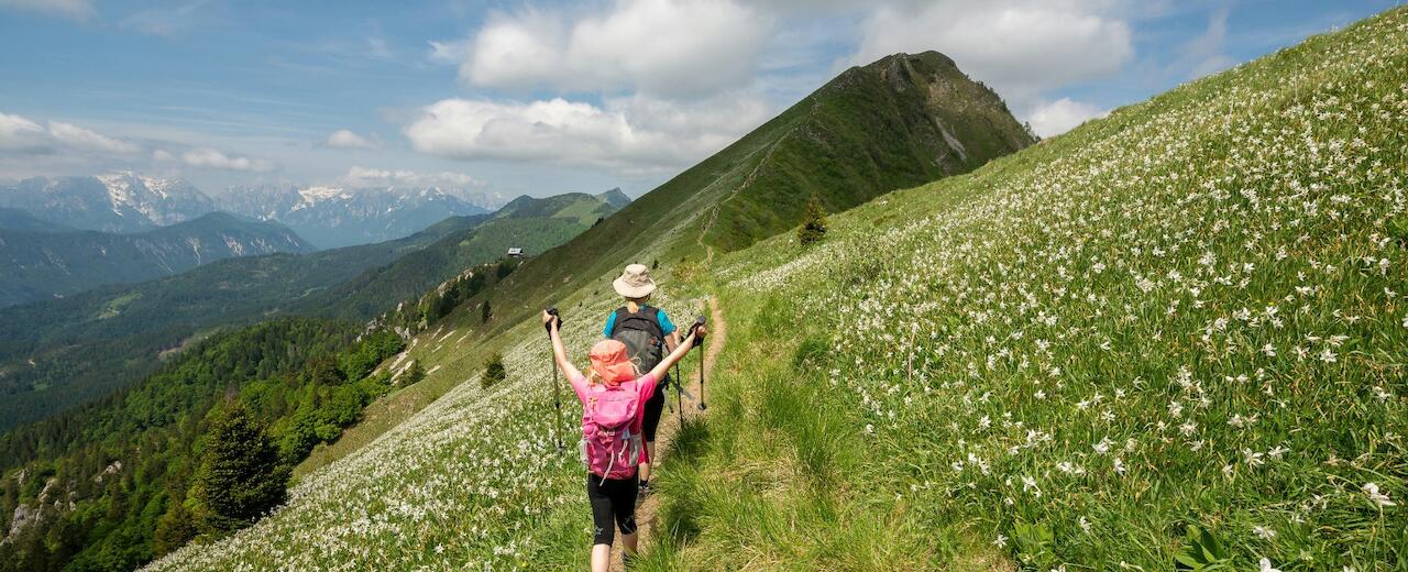 Take the path less traveled