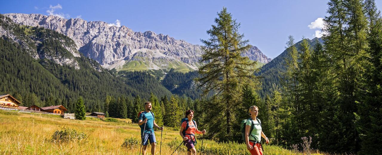 Take the path less traveled