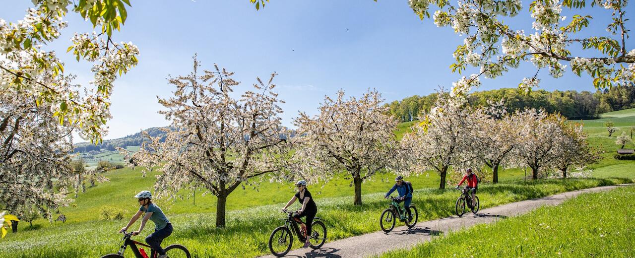 Explore the world at the perfect pace