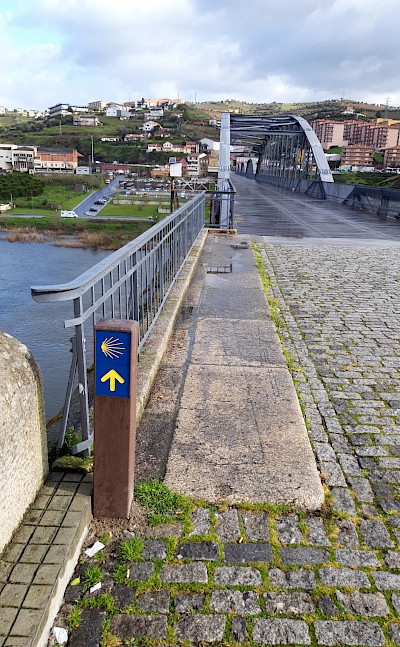 Douro River E-Bike & Boat Tour. © TO
