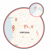 Douro River E-Bike & Boat