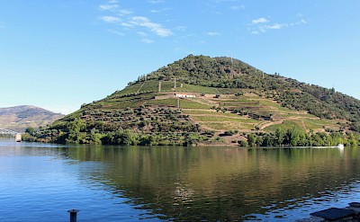 Pinhao vineyards, Portugal. Unsplash@Rui Alves
