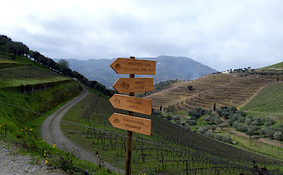 Signs to lead the way in the Douro Valley of Portugal. © TO